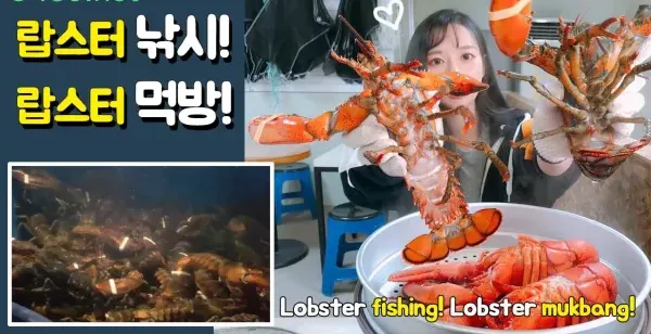 【YouTube精选】앵쩡티비:D 랍스터 낚시! 랍스터 먹방! Lobster fishing! Lobster mukbang!