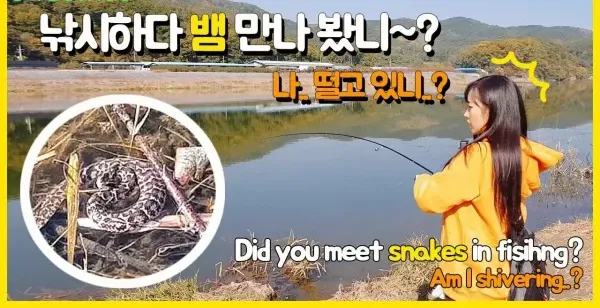 【YouTube精选】앵쩡티비:D 낚시 하다 뱀 만나 봤니~? Did you meet snakes in fishing?
